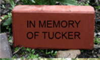 Click the brick above to open the form and buy your own memorial brick!